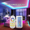 Wasserdichter flexibler RGB LED Streifen HOYOL-PFEILER RGB LED Streifen-840 LEDs/M IP65